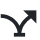 Airline-Specific Courses 